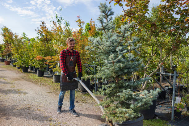 Best Tree Maintenance Programs  in Pioneer, OH